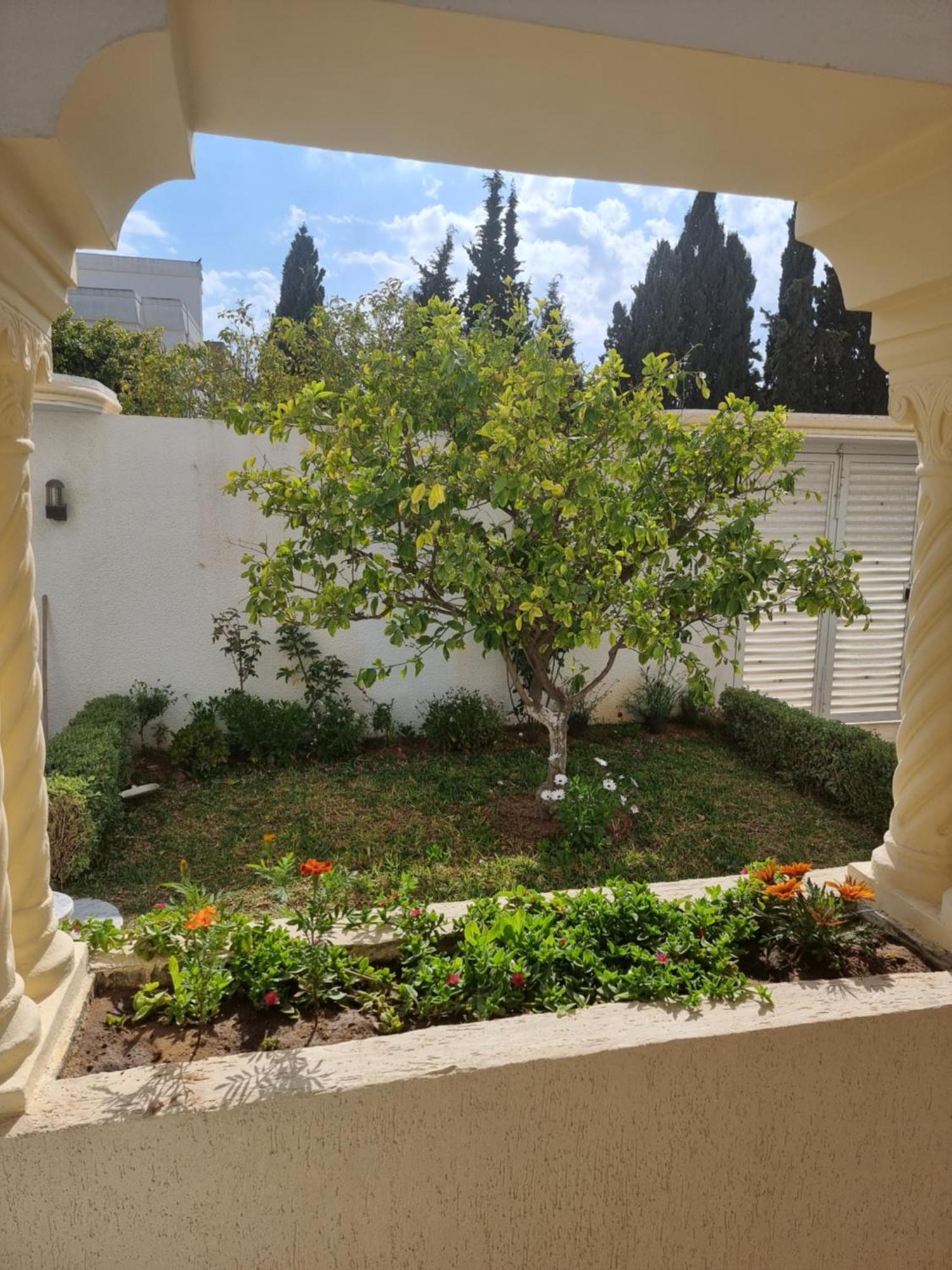 Appartements De Luxe Pres De La Mer Nabeul Bagian luar foto